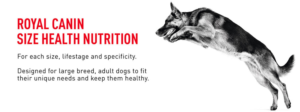 Royal Canin Maxi Adult Dry Dog Food