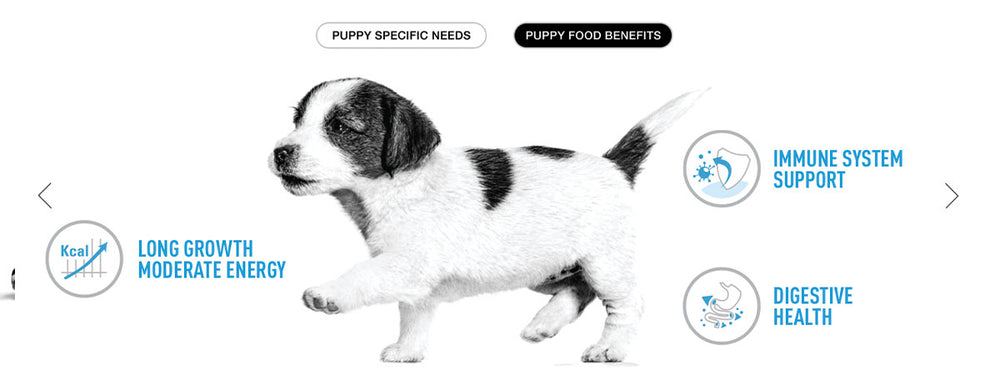 Royal Canin Maxi Puppy Wet Dog Food