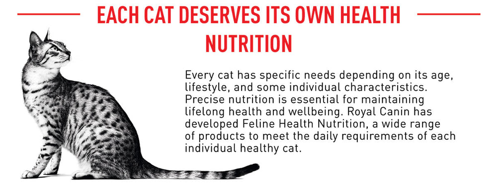 Royal Canin Indoor 7+ Years Adult Dry Cat Food