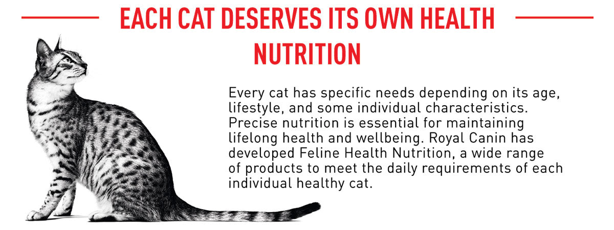 Royal Canin Indoor 7+ Years Adult Dry Cat Food