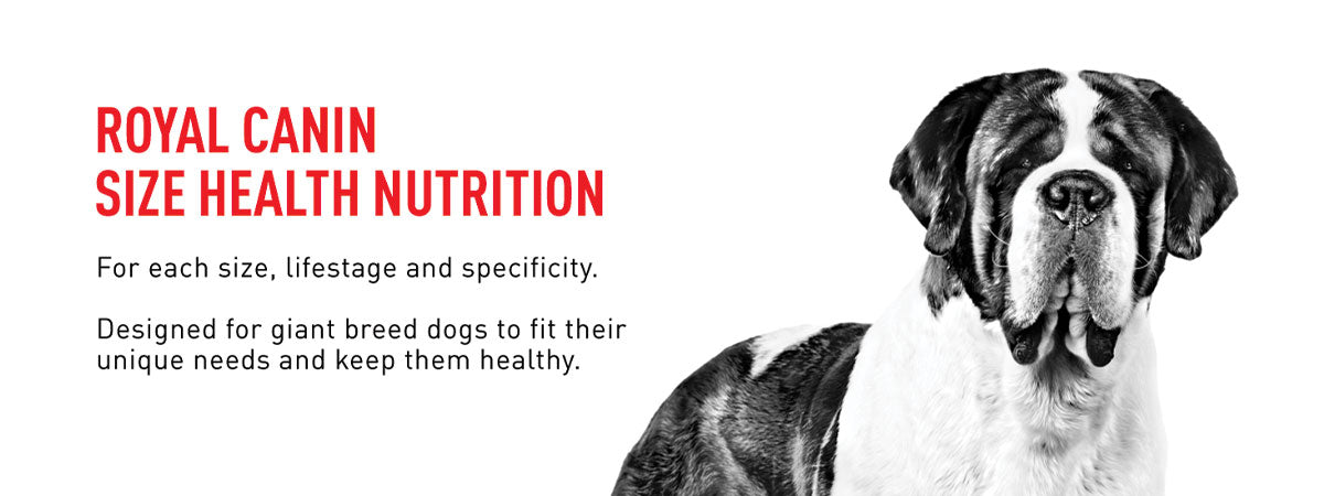Royal Canin Giant Adult Dry Dog Food