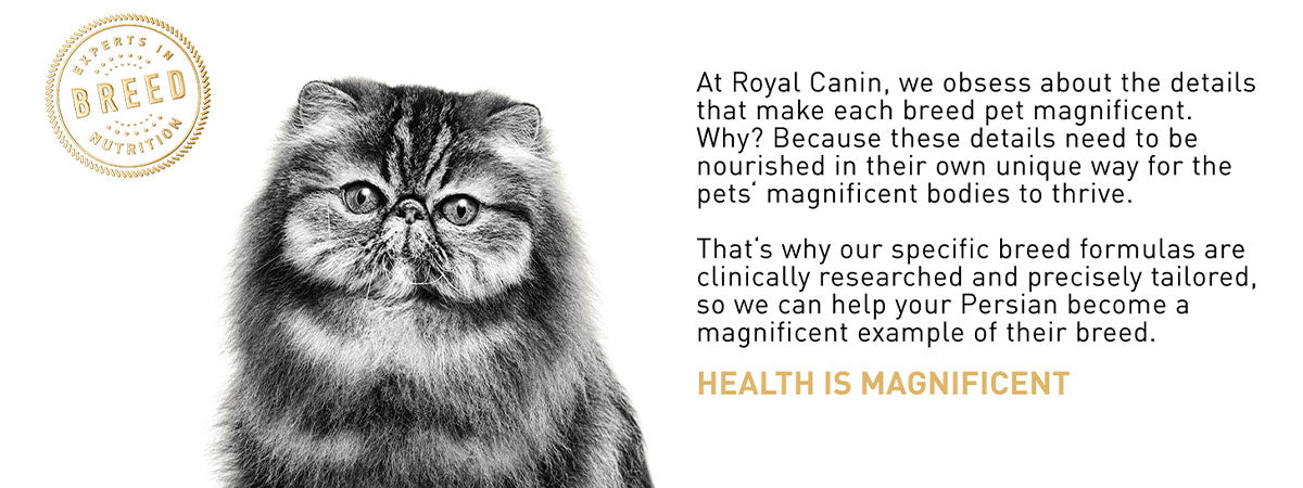 Royal Canin Persian Adult Dry Cat Food