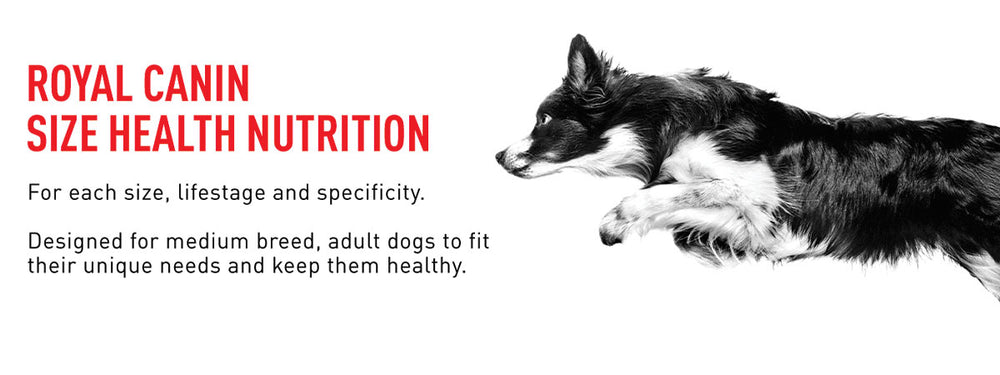 Royal Canin Medium Adult Wet Dog Food