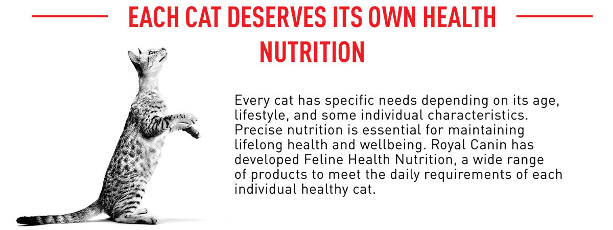 Royal Canin Indoor 27 Adult Dry Cat Food