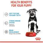 Zigly puppy with Royal Canin food bowl, highlighting soft texture, immune and brain health benefits.