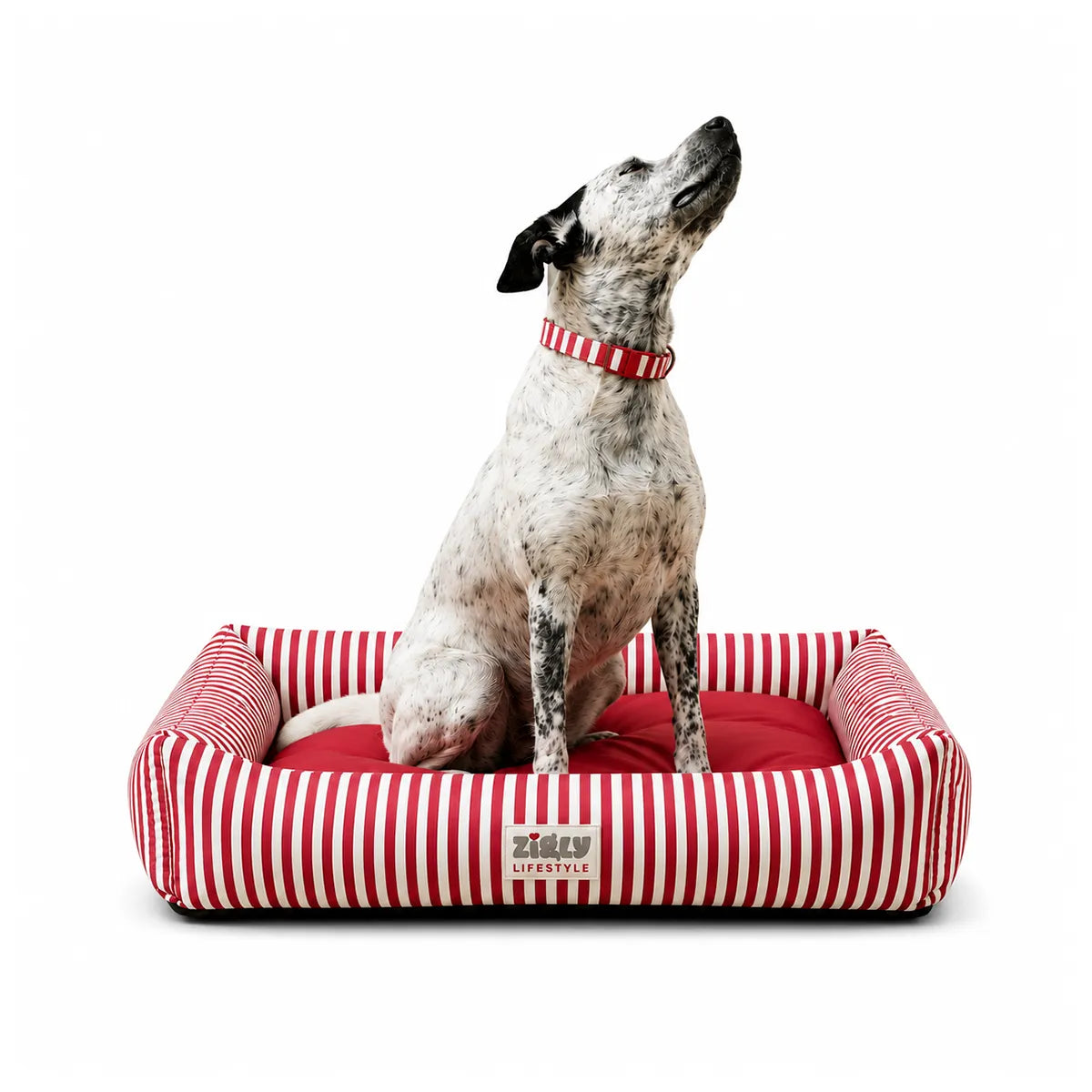 ZL Red Stripe Lounger Dog Bed