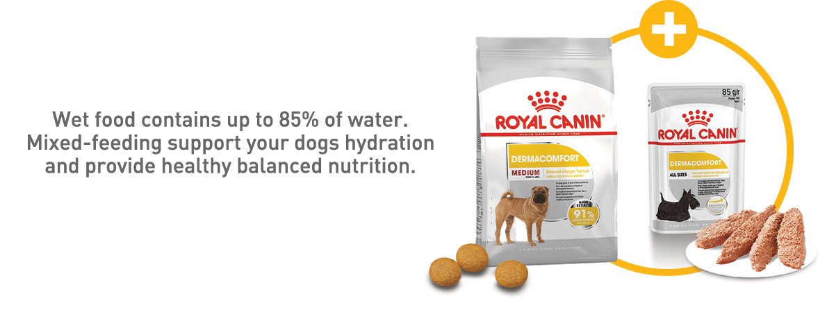 Royal Canin Medium Dermacomfort Adult Dry Dog Food