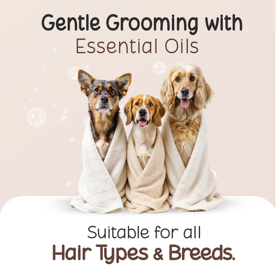 Three dogs wrapped in towels for Tell Tails grooming, suitable for all hair types, zigly