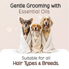 Three dogs wrapped in towels for Tell Tails grooming, suitable for all hair types, zigly
