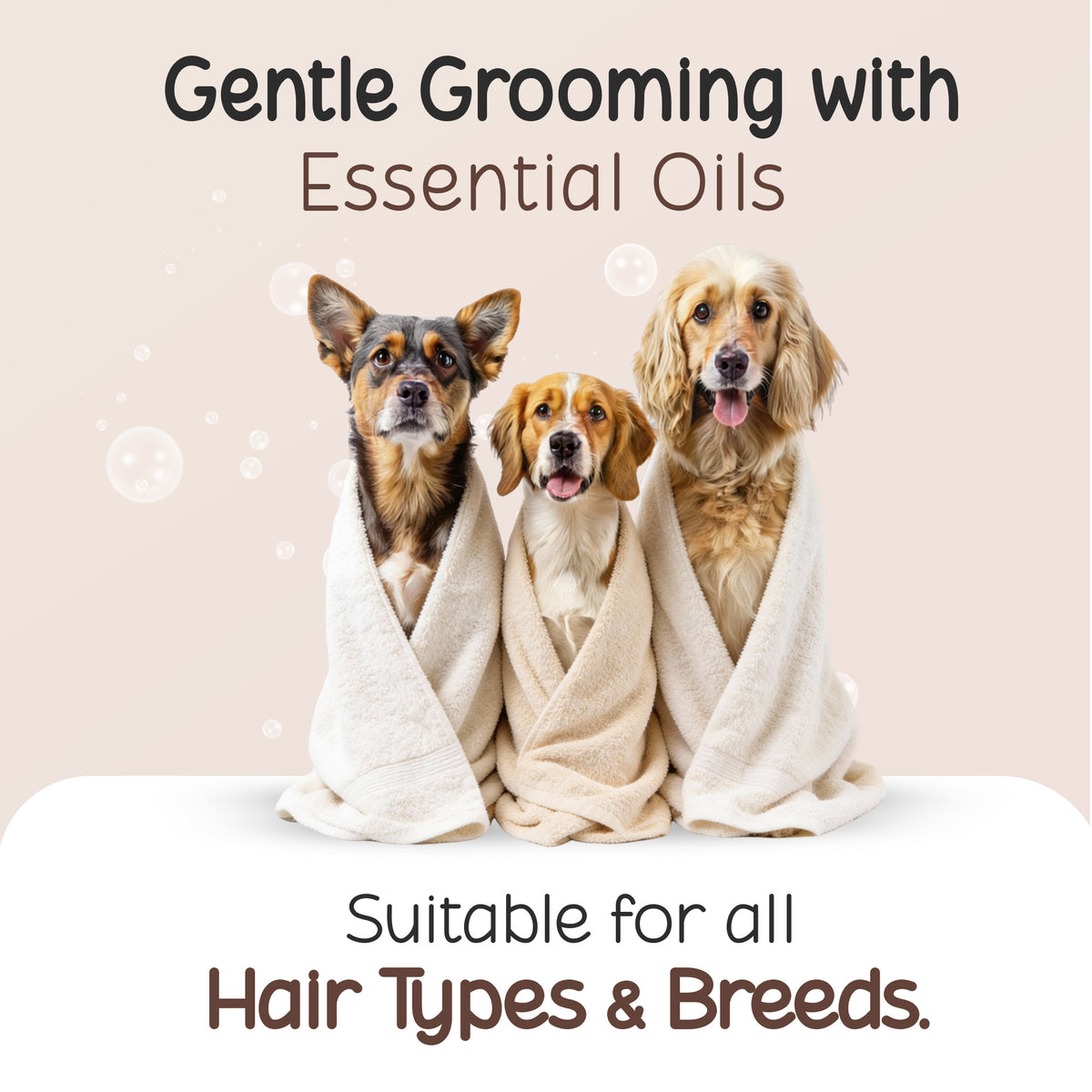 Three dogs wrapped in towels for Tell Tails grooming, suitable for all hair types, zigly