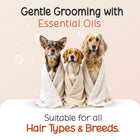 Three dogs wrapped in towels for grooming with Tell Tails and zigly