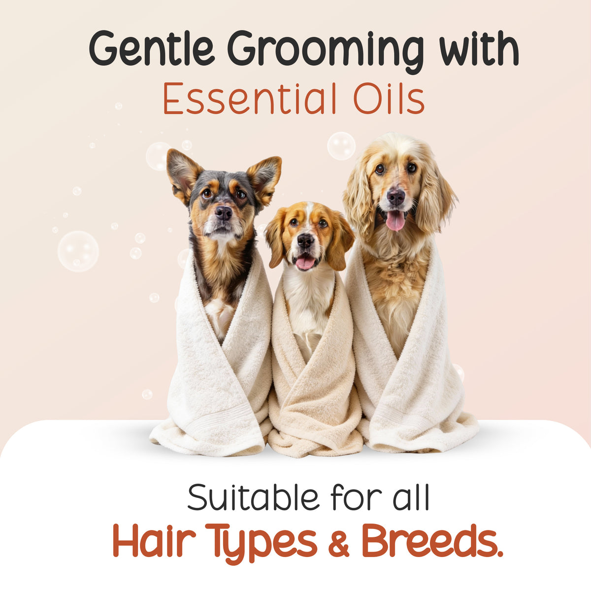 Three dogs wrapped in towels for grooming with Tell Tails and zigly