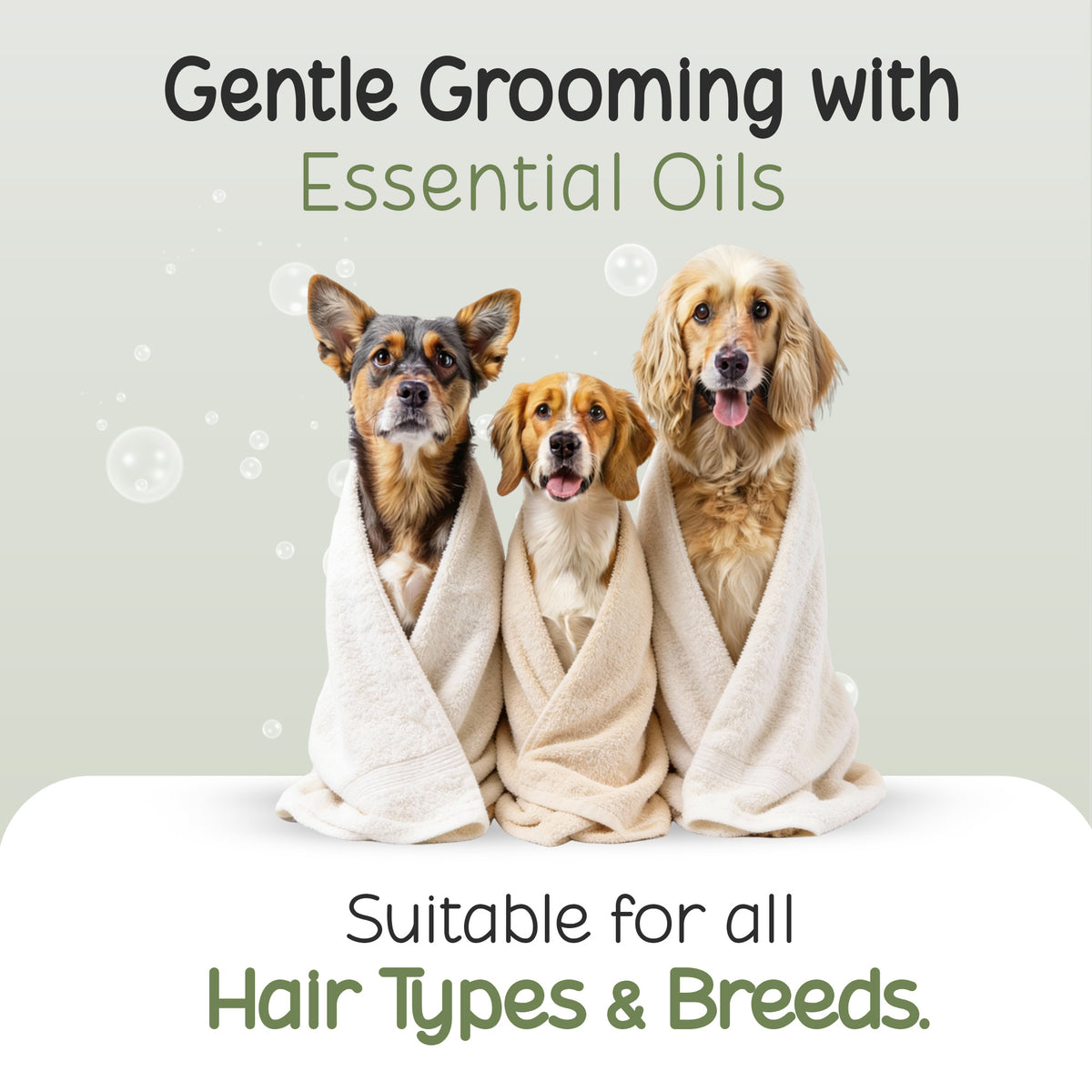 Three dogs wrapped in towels for Tell Tails grooming, suitable for all breeds at zigly.