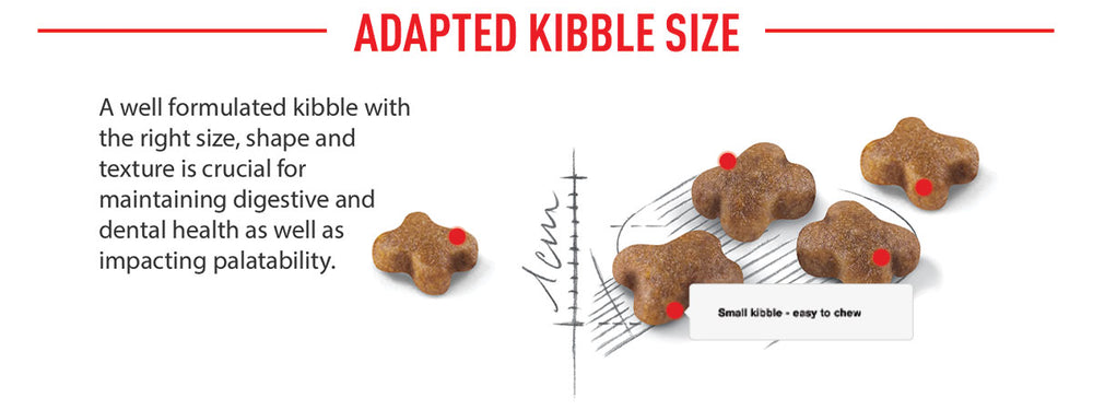 Royal Canin Kitten 36 Dry Cat Food
