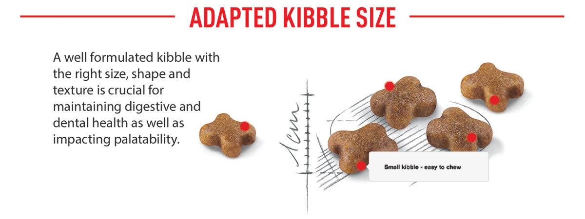 Royal Canin Kitten 36 Dry Cat Food