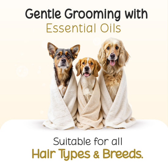 Three dogs wrapped in towels for grooming with Tell Tails essential oils at zigly
