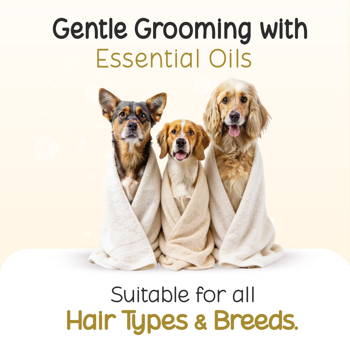 Three dogs wrapped in towels for grooming with Tell Tails essential oils at zigly