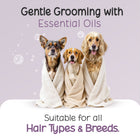 Three dogs wrapped in towels for gentle grooming with Tell Tails and zigly.
