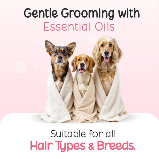Three dogs wrapped in towels for Tell Tails grooming services at zigly