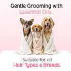 Three dogs wrapped in towels for Tell Tails grooming services at zigly