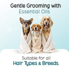 Three dogs wrapped in towels for Tell Tails waterless shampoo grooming at zigly