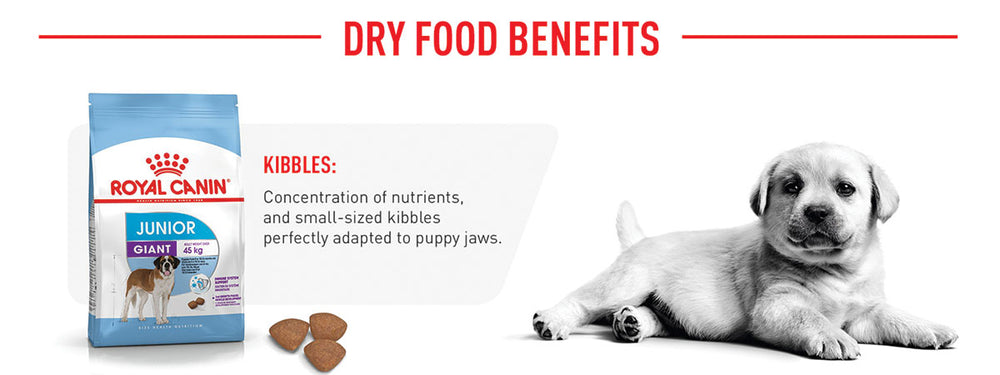 Royal Canin Giant Junior Dry Dog Food