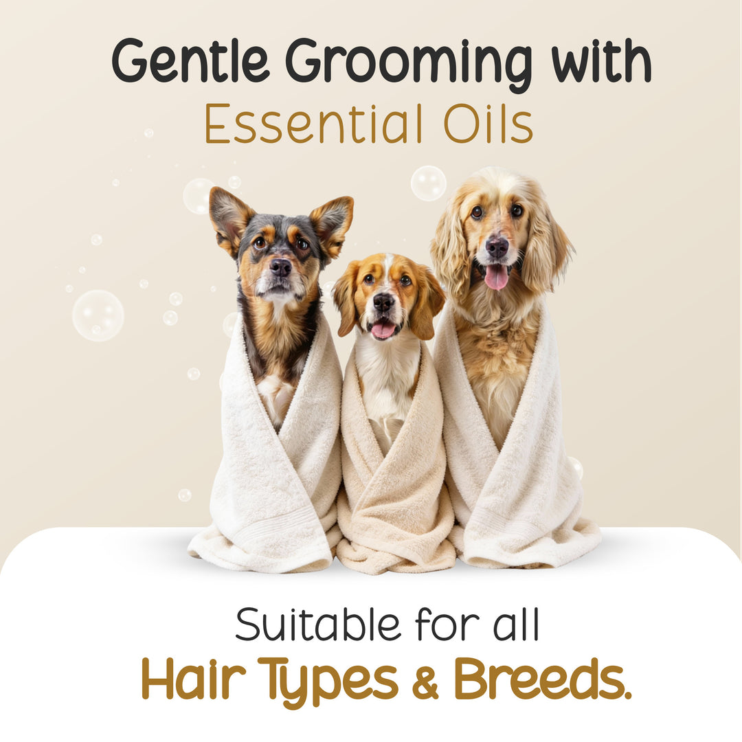 Three dogs wrapped in towels for Tell Tails grooming, available at zigly.