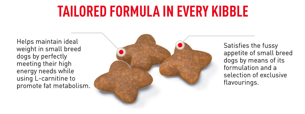 Royal Canin Mini Adult 8+ Dry Dog Food