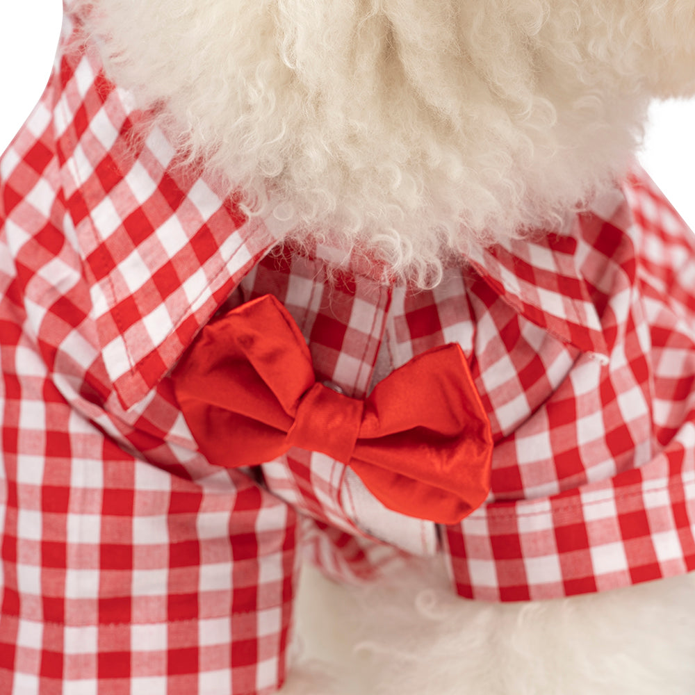 ZL Gingham Glam Dog Shirt
