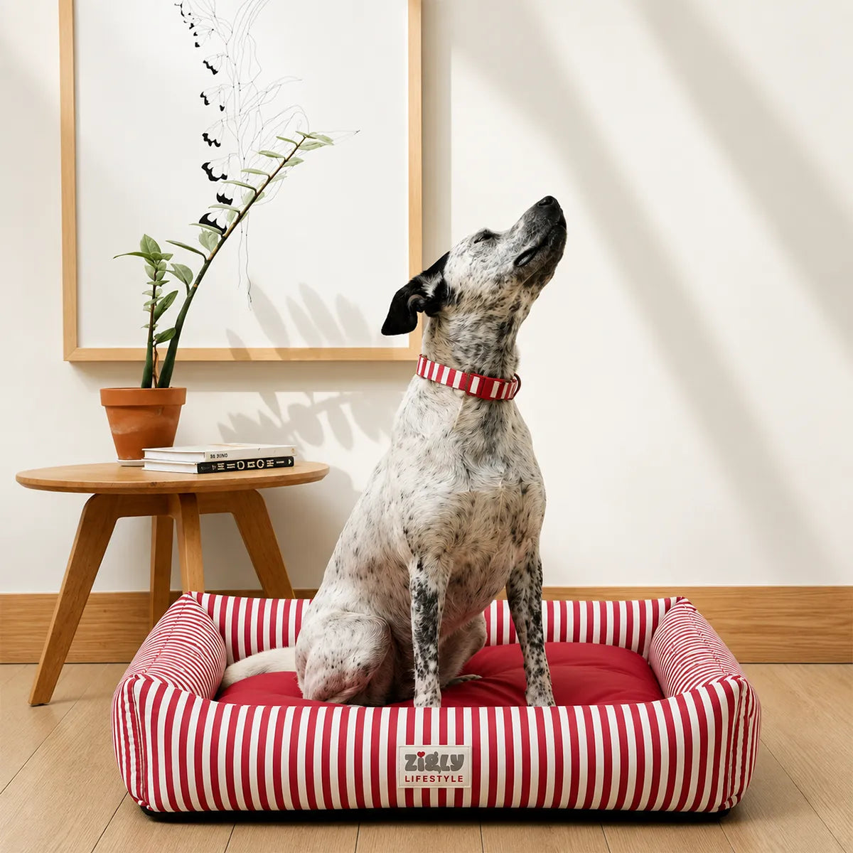 ZL Red Stripe Lounger Dog Bed