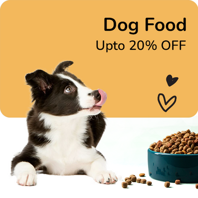 Puppy with a bowl of dog food on a yellow background with text 'Dog Food Upto 20% OFF'.