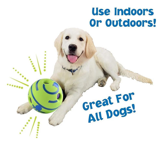 Happy yellow labrador with blue collar playing with green zigly ball toy, indoor or outdoor use, great for all dogs