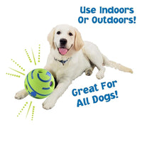 Happy yellow labrador with blue collar playing with green zigly ball toy, indoor or outdoor use, great for all dogs