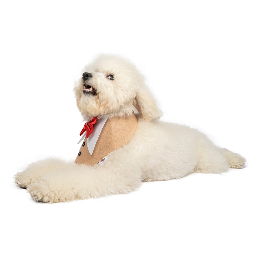 ZL Pup In A Tux Dog Bandana