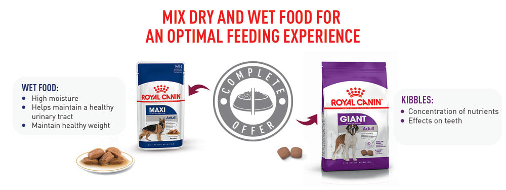 Royal Canin Giant Adult Dry Dog Food