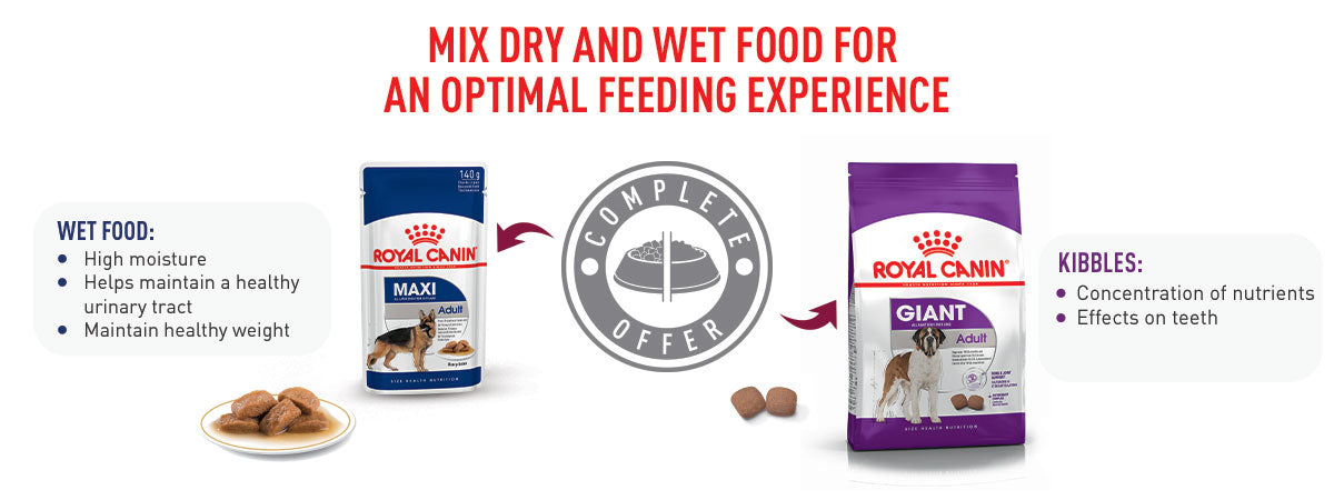 Royal Canin Giant Adult Dry Dog Food