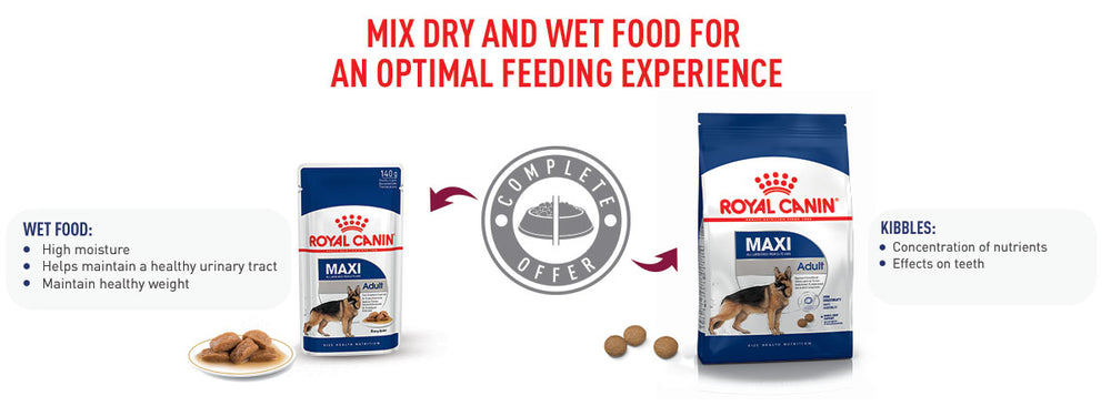 Royal Canin Maxi Adult Wet Dog Food