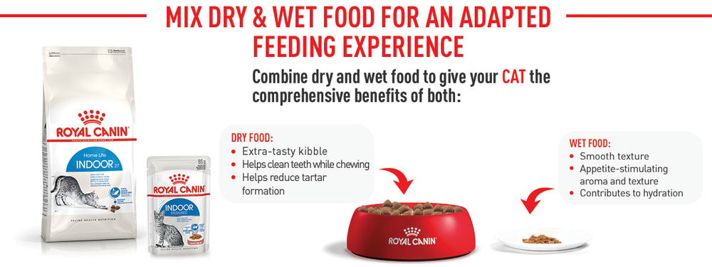 Royal Canin Indoor 27 Adult Dry Cat Food