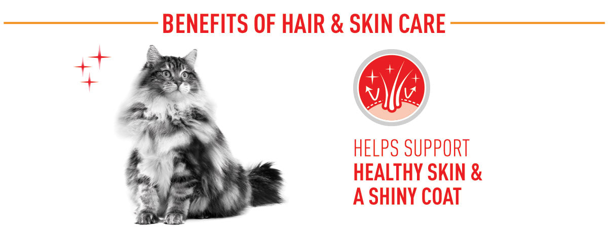 Royal Canin Hair & Skin Adult Wet Cat Food