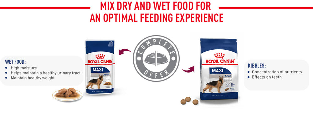 Royal Canin Maxi Adult Dry Dog Food