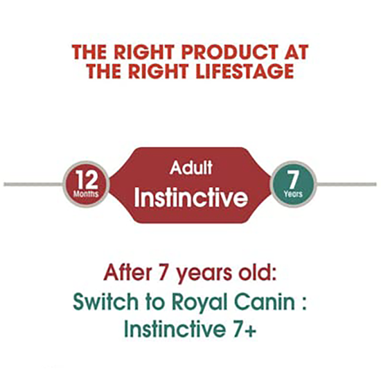 Royal Canin Instinctive Loaf Wet Cat Food - All Breed Adult - 85g