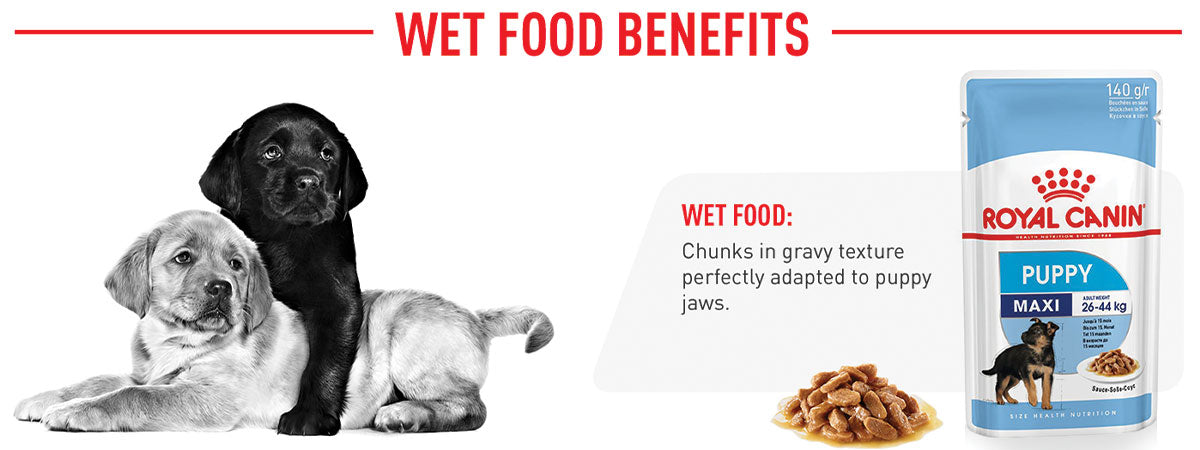 Royal Canin Maxi Puppy Wet Dog Food