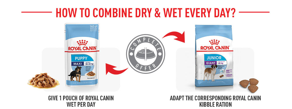 Royal Canin Giant Junior Dry Dog Food