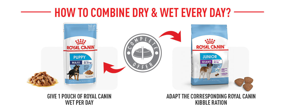 Royal Canin Giant Junior Dry Dog Food