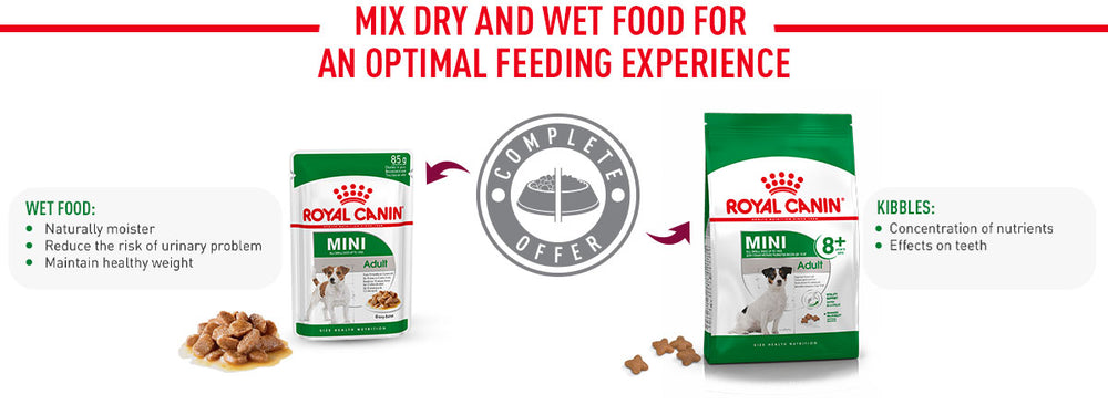Royal Canin Mini Adult 8+ Dry Dog Food
