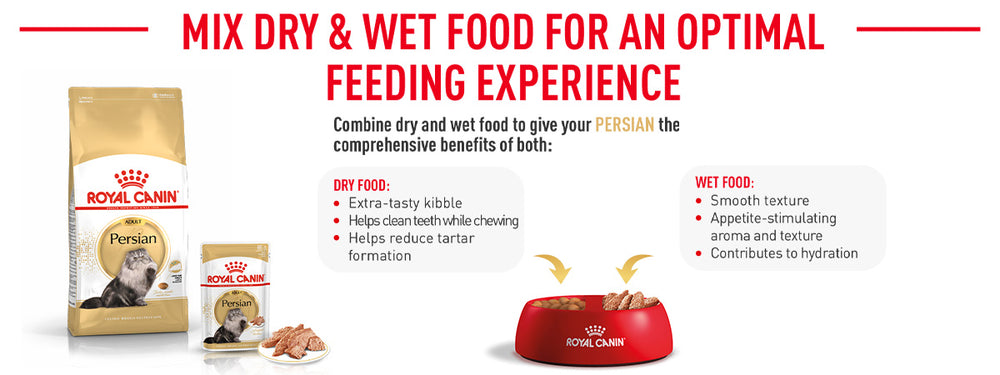 Royal Canin Persian Adult Dry Cat Food