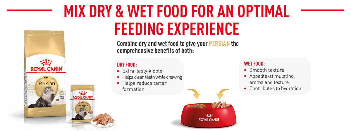 Royal Canin Persian Adult Dry Cat Food