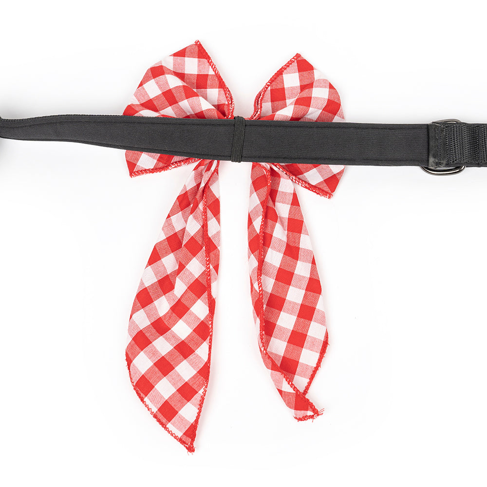 ZL Gingham Glam Ribbon Dog Bow Tie