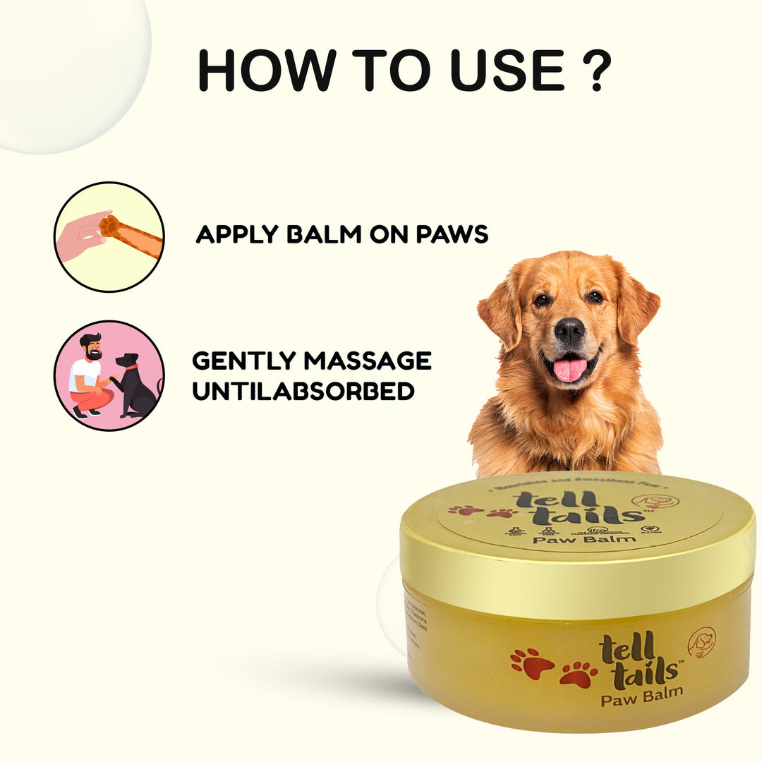 Tell Tails Paw Balm for dogs from zigly with usage instructions and a Golden Retriever.