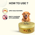 Tell Tails Paw Balm for dogs from zigly with usage instructions and a Golden Retriever.